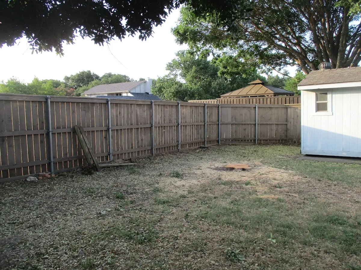Cleared yard after professional tree removal in Tatum